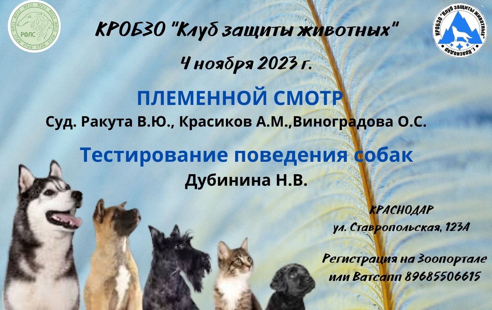 Племенной смотр и тестирование поведения собак 4.10.2023 в Краснодаре