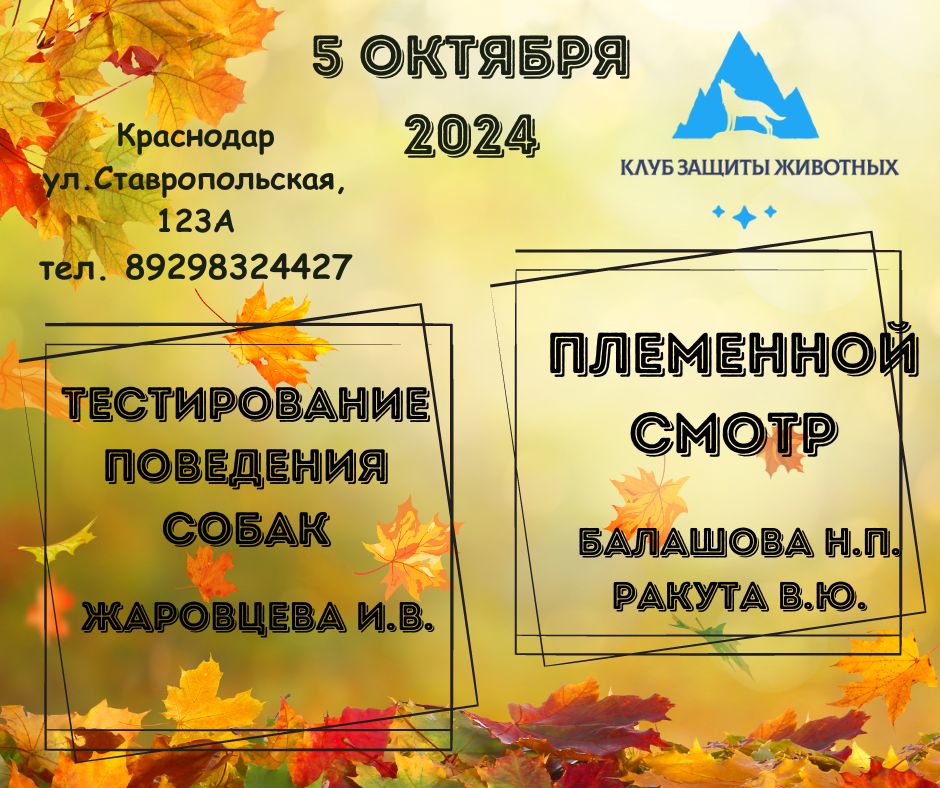 Приглашение на племенно смотр и тестирование собак в Краснодаре 5 октября